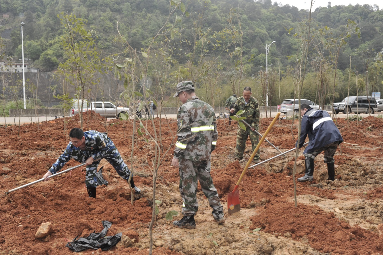 陽春三月雨,正是植樹好時節 陽春三月雨,正是植樹好時節