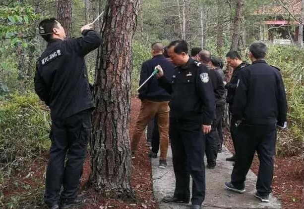 金森公司開展森林病蟲害防治培訓 金森公司開展森林病蟲害防治培訓