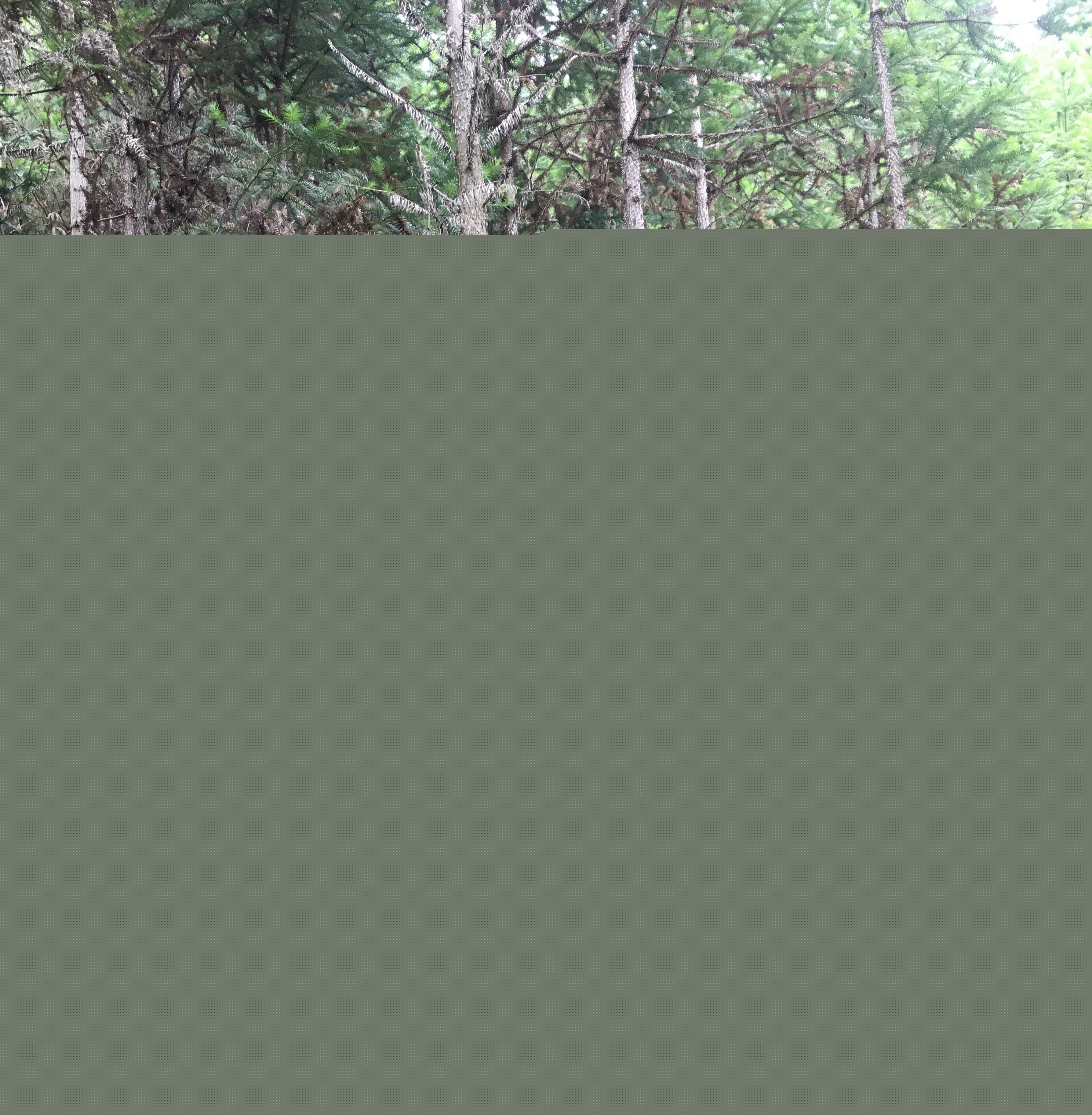 支部結(jié)對共建 促進黨建業(yè)務“雙提升” 支部結(jié)對共建 促進黨建業(yè)務“雙提升”