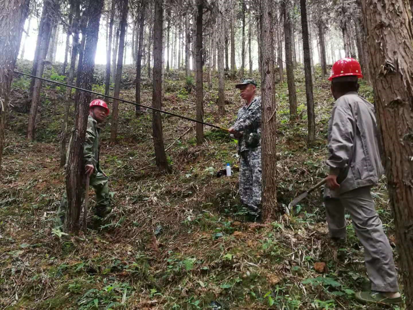 支部結(jié)對共建 促進黨建業(yè)務“雙提升” 支部結(jié)對共建 促進黨建業(yè)務“雙提升”