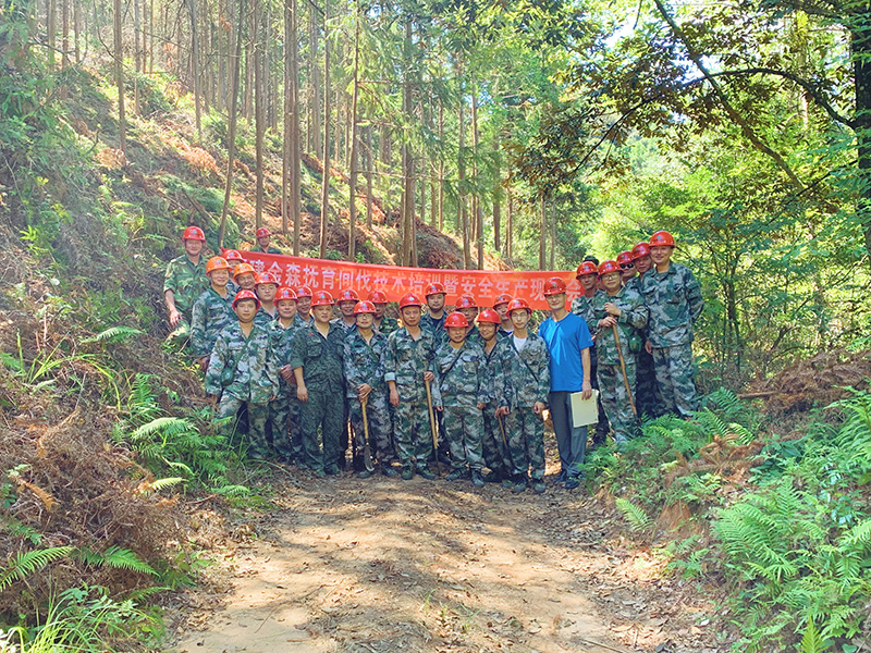 嚴把森林培育質量關，譜寫資源培育新篇章
