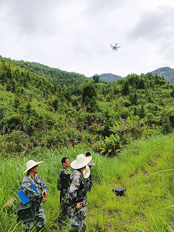 嚴把森林培育質量關，譜寫資源培育新篇章
