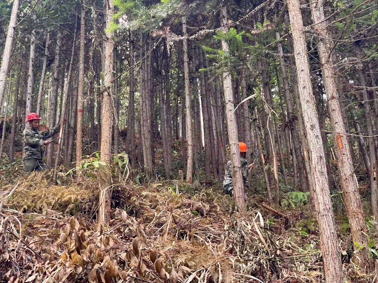 1688638575678949.png 1688638575678949.png