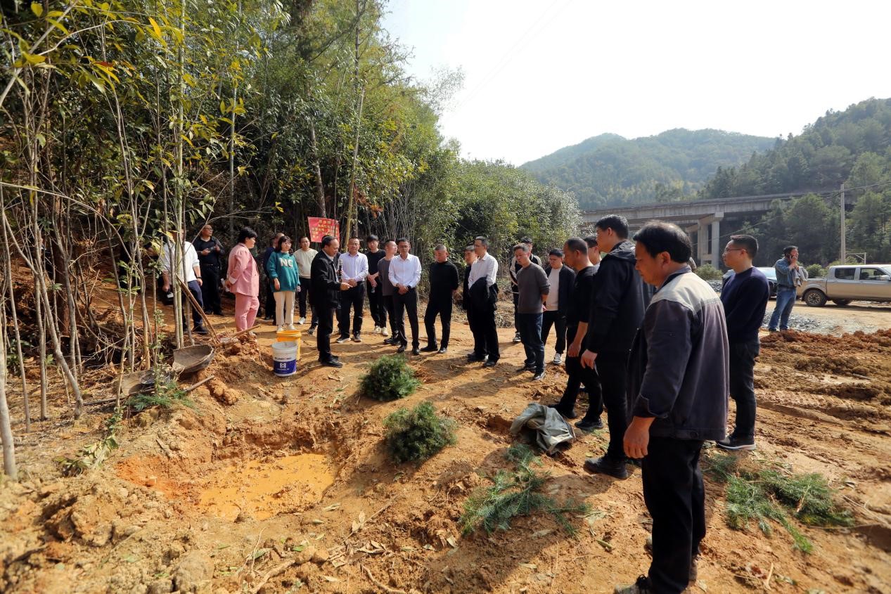 不負春光好，搶播萬畝林 ——將樂縣村企合作造林工作現(xiàn)場會在福建金森召開